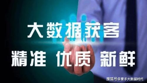 運營商精準(zhǔn)大數(shù)據(jù) 行業(yè)標(biāo)簽如何實現(xiàn)精準(zhǔn)獲客的大數(shù)據(jù)服務(wù)